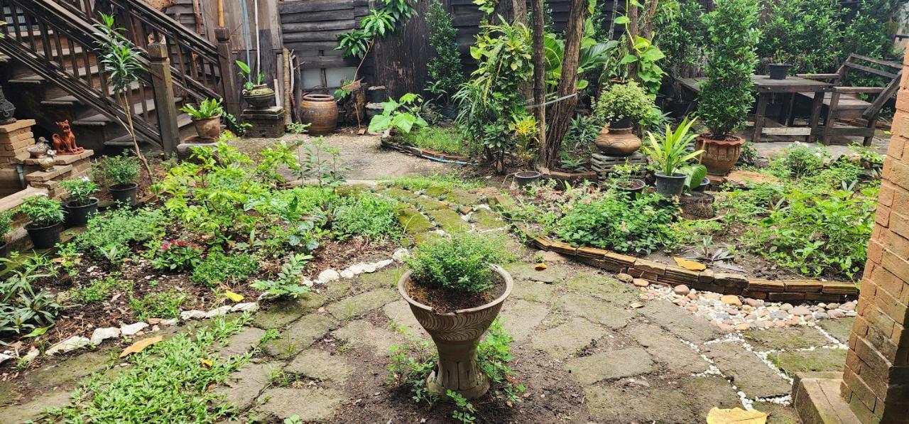 Cozy Nest Cnx Hostel Chiang Mai Buitenkant foto