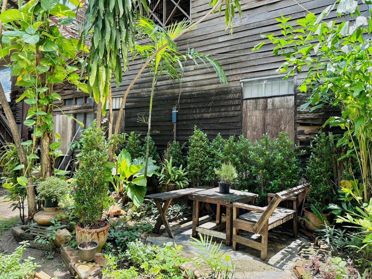 Cozy Nest Cnx Hostel Chiang Mai Buitenkant foto