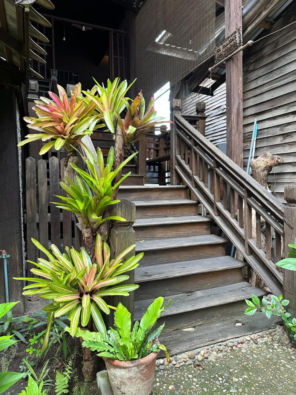 Cozy Nest Cnx Hostel Chiang Mai Buitenkant foto